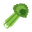 Celery